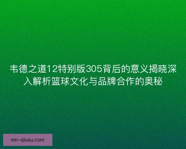 韦德之道12特别版305背后的意义揭晓深入解析篮球文化与品牌合作的奥秘